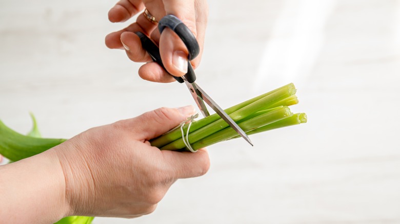 Cutting flower stems