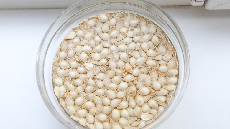 pumpkin seeds soaking