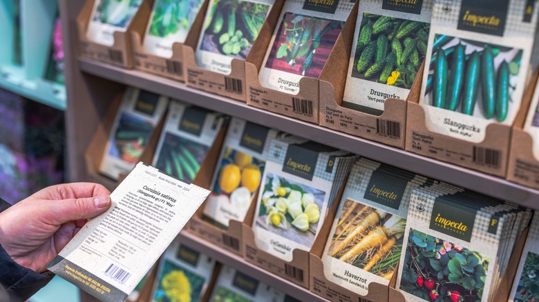 display of seed packets