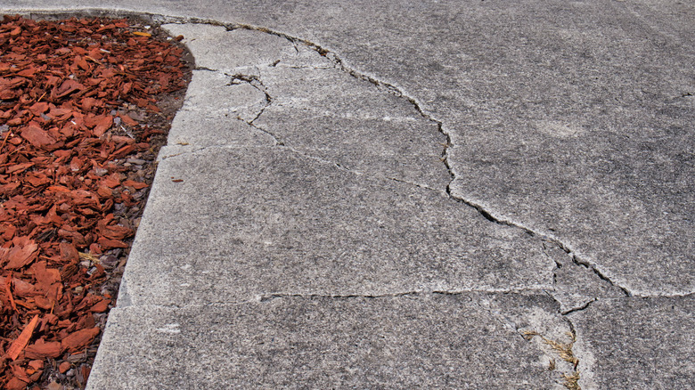 Damaged and cracking concrete driveway