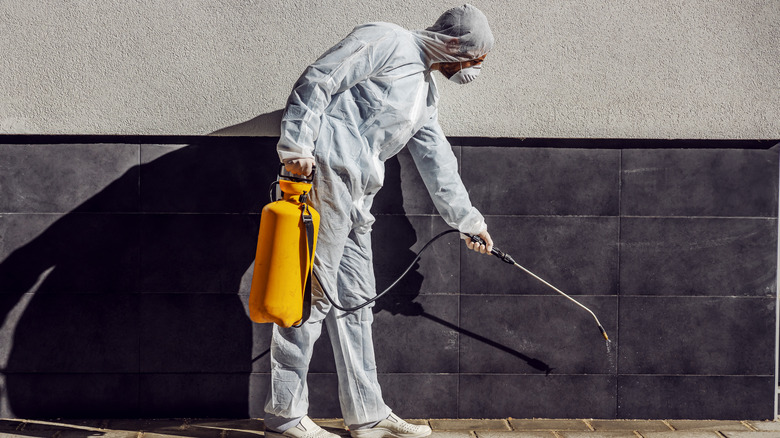 Termite barrier treatment for home