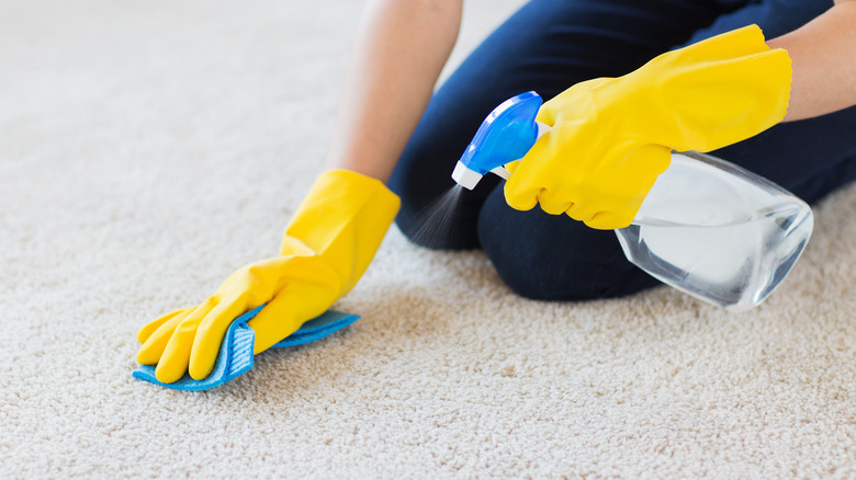 person spraying and wiping carpet