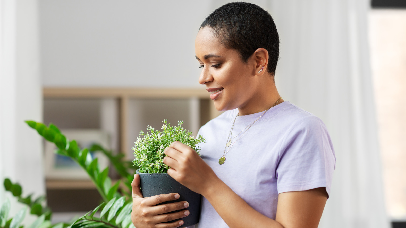 here-s-how-often-you-need-to-clean-your-houseplants