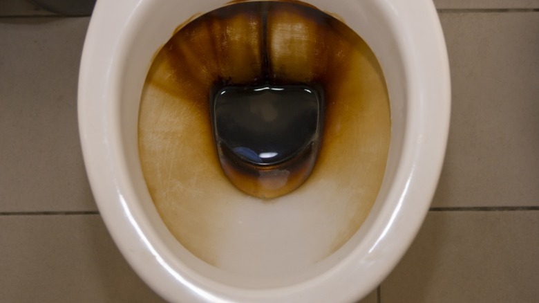 Stained toilet bowl 