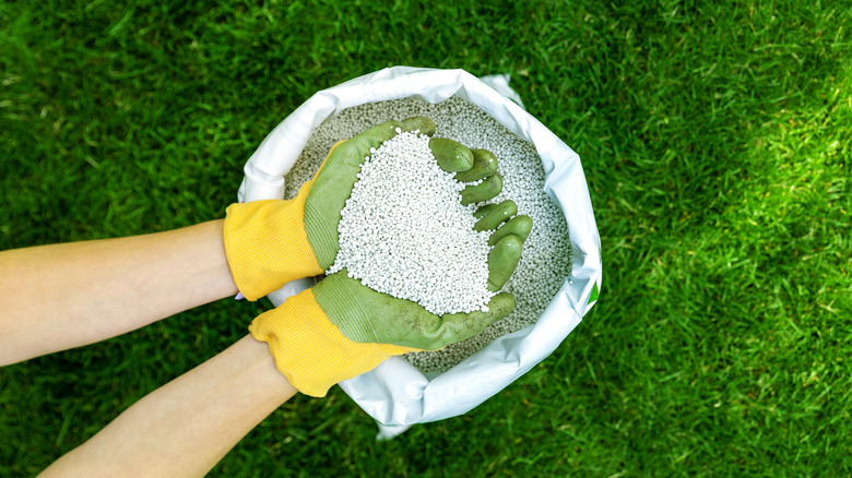 person holding fertilizer granules