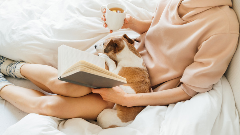 Person in bed with drink and dog