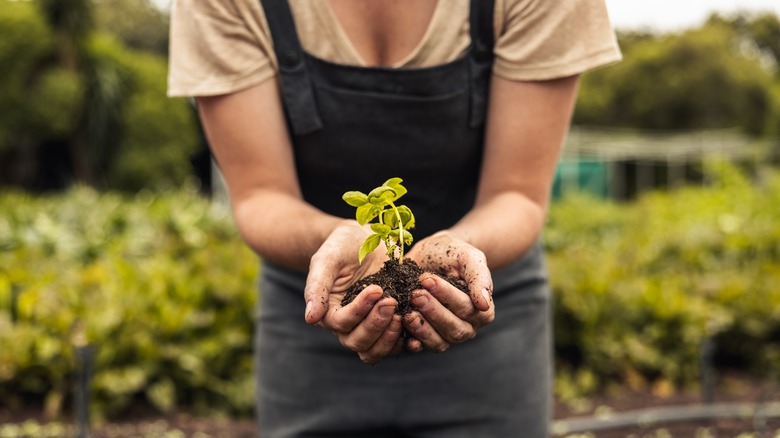 woman holding plant