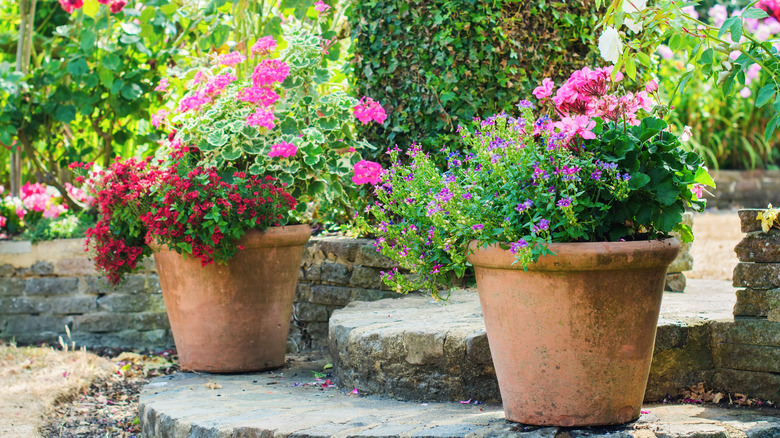 flower pots frame outdoor steps