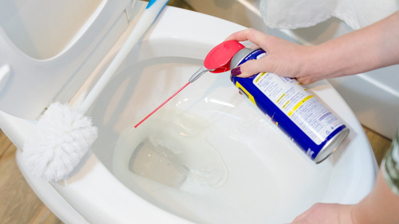 Person spraying WD-40 in toilet