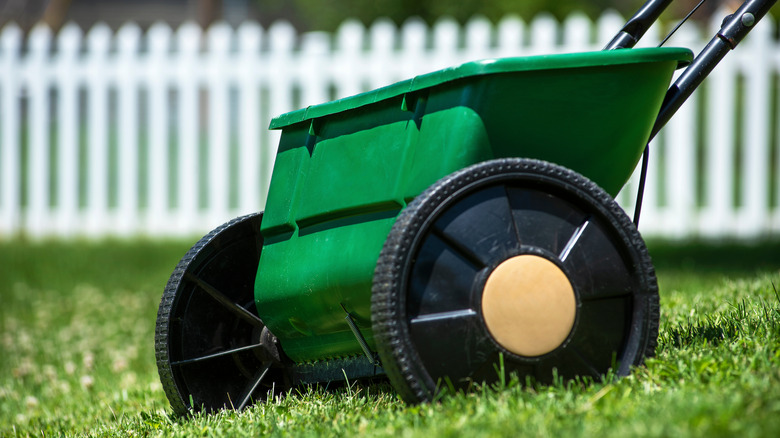 Lawn spreader applying herbicide to grass