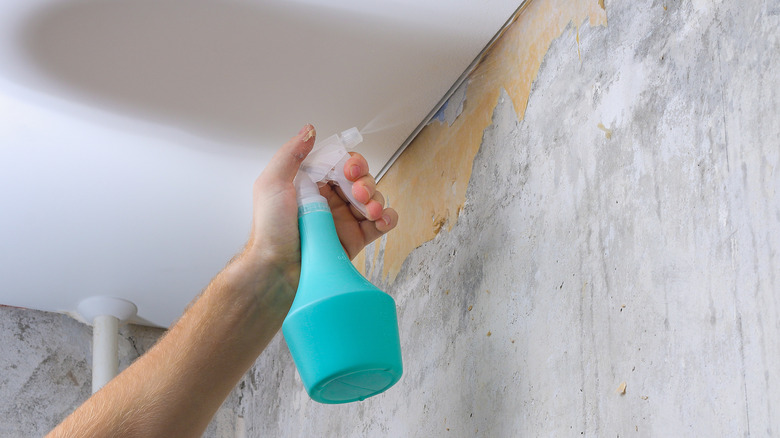 using spray to soak wallpaper