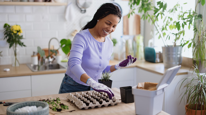 Woman planting seeds in kitchen