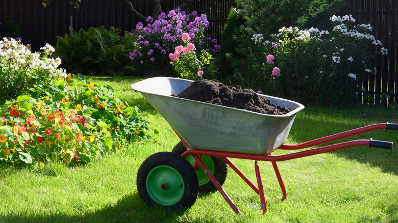 wheelbarrow full of dirt