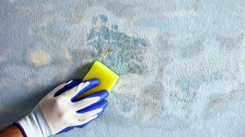 hand holding sponge to wall