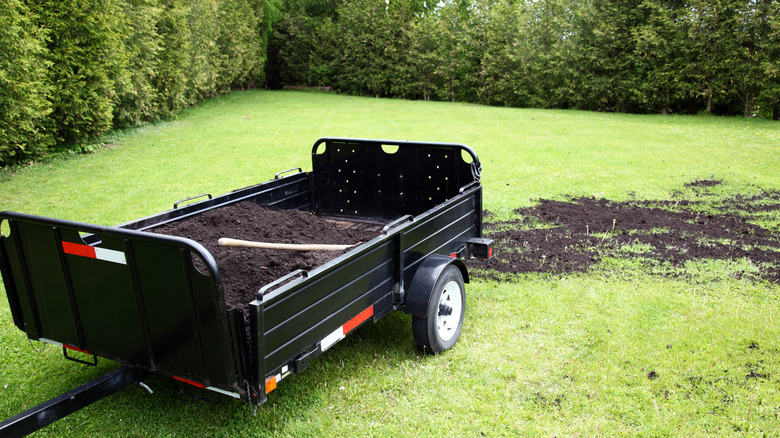 Topdressing lawn with compost