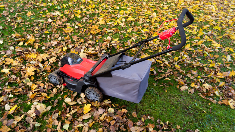 Mowing over fallen leaves