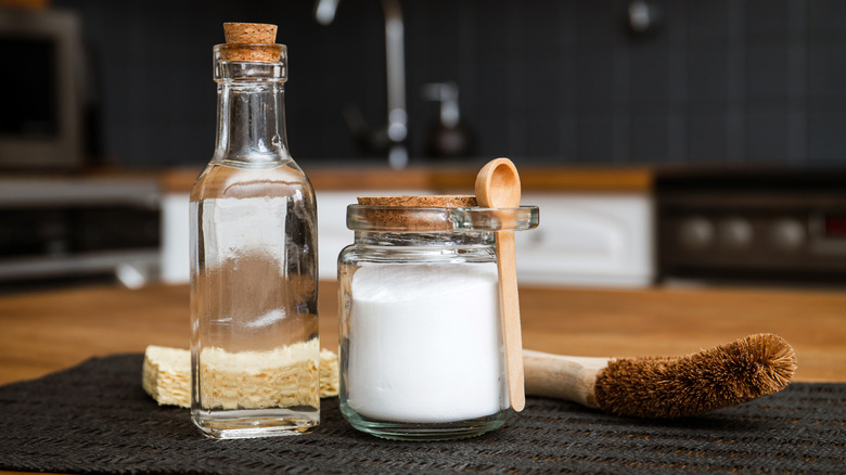 vinegar and washing soda