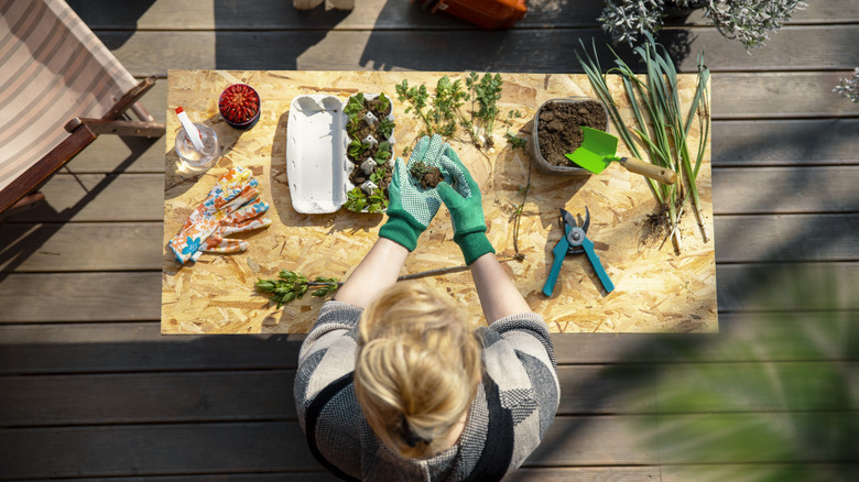 woman with potting supplies 