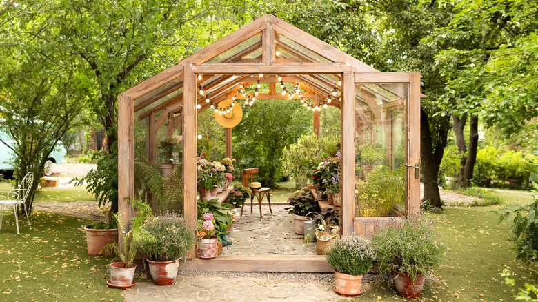 A beautiful wooden greenhouse with plants and lights inside