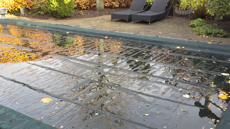 Pool cover with leaves on top