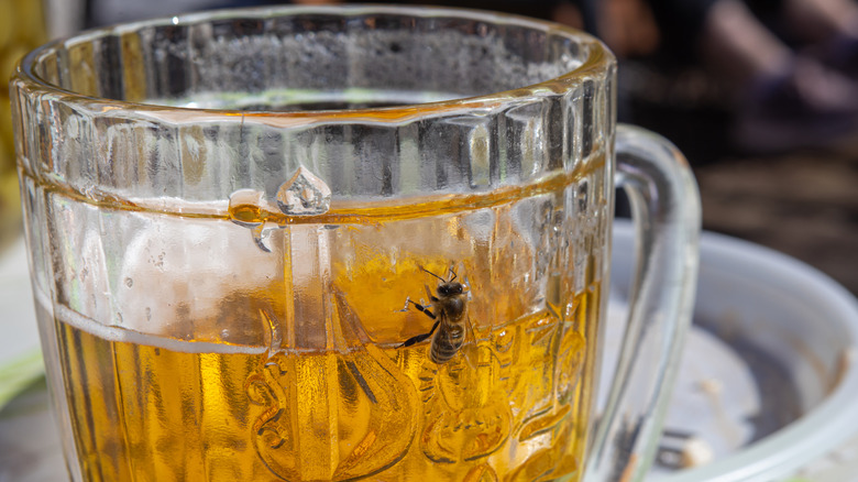 A bee around beer