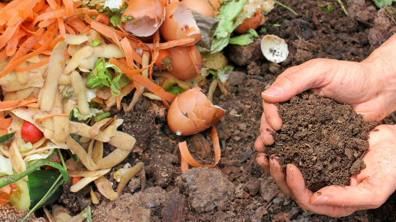 A person holding compost