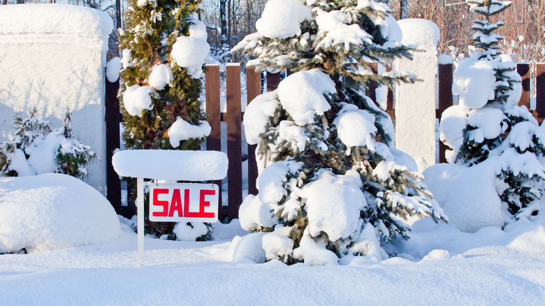 For sale sign in snow