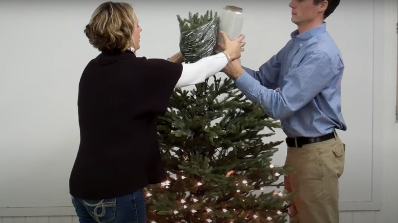 People wrapping Christmas tree