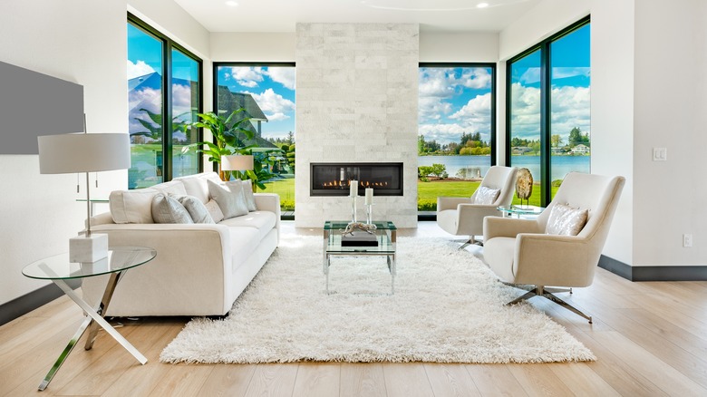 Room with large shaggy rug