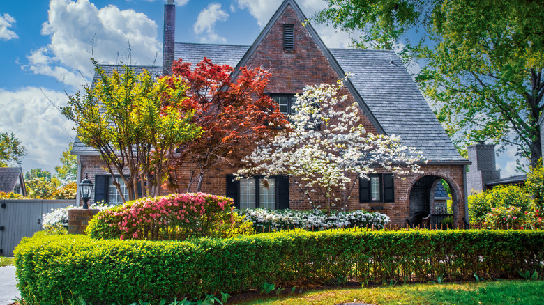 A beautiful house with a living green fence and trees.