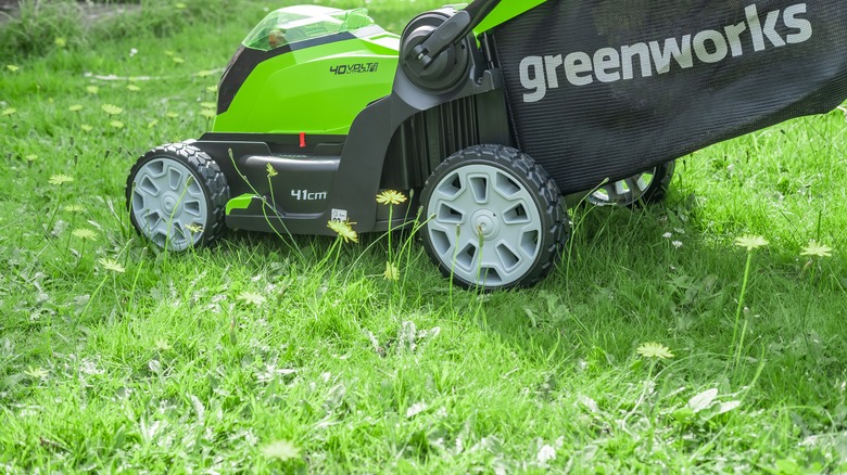 Mower trimming tall grass