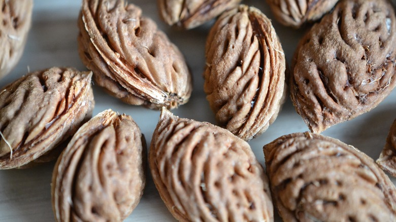 Group of peach seeds