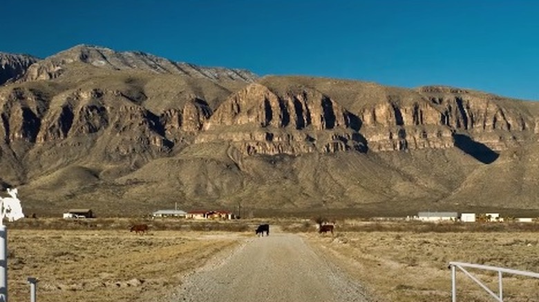 Jeff Bezos' Texas Ranch