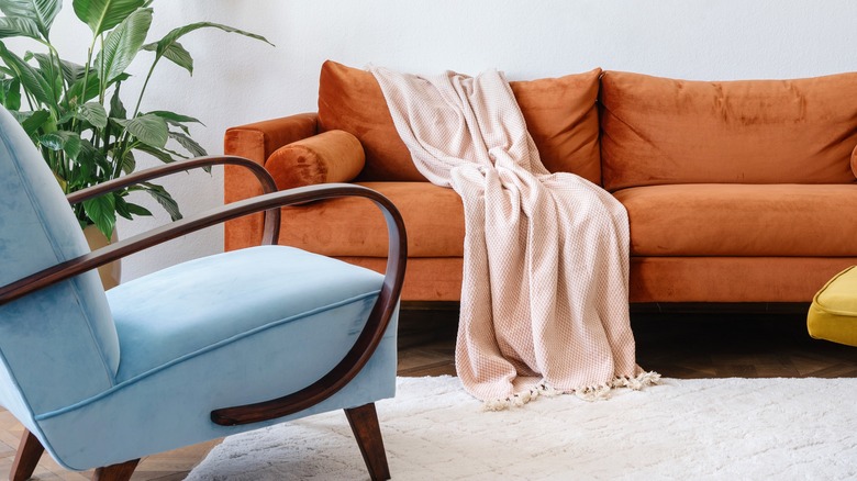 Colorful sitting room with plants