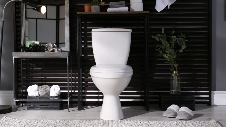 White bathroom with white toilet