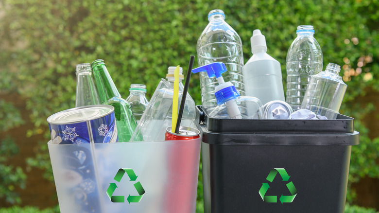 bottles in recycle bins