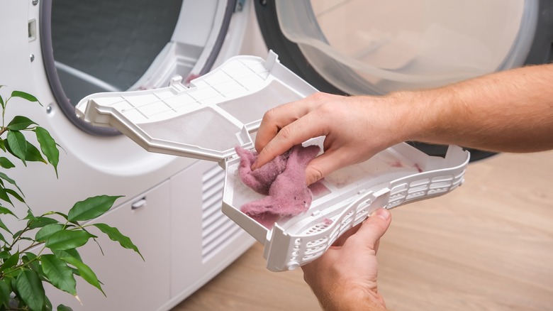 person cleaning dryer lint trap