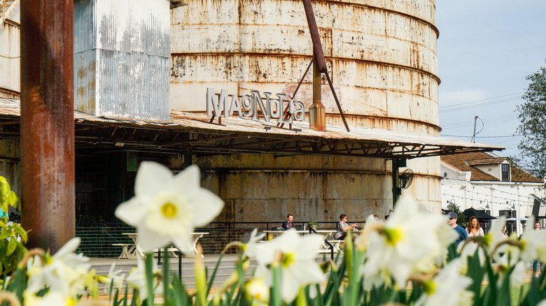 Flowers at Magnolia Silos