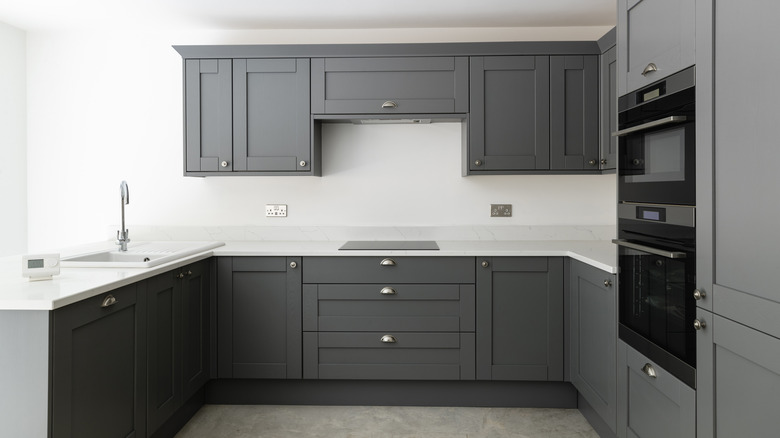 Kitchen with gray cabinets