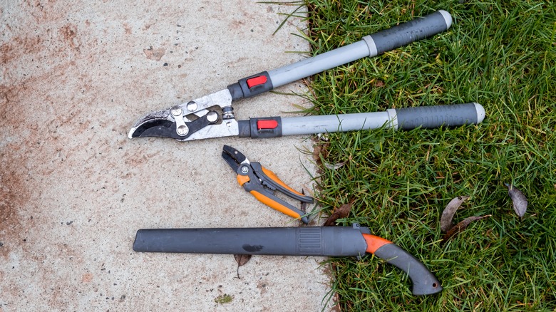 pruning tools