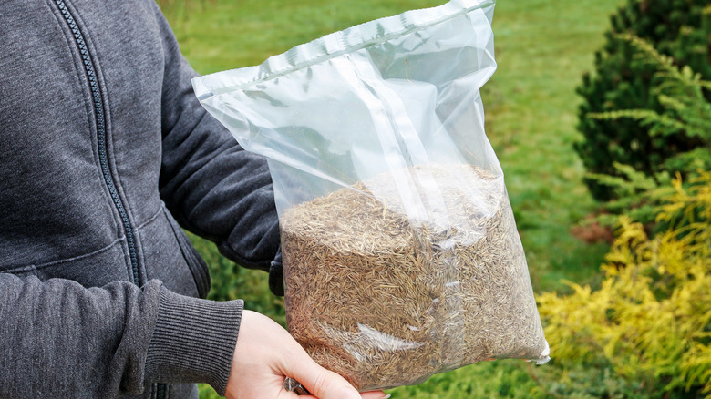 Woman holding bag of grass seed