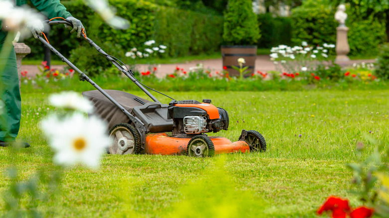 lawnmower in yard