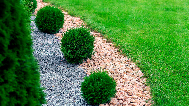 garden bed with rock mulch