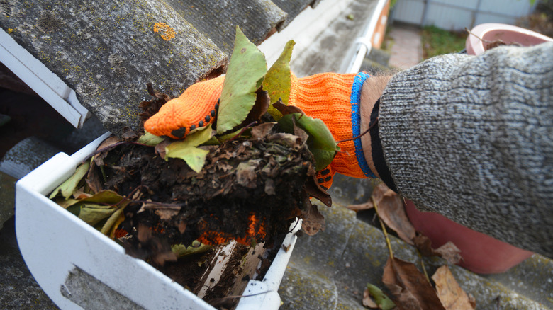 person removing leaves from gutter