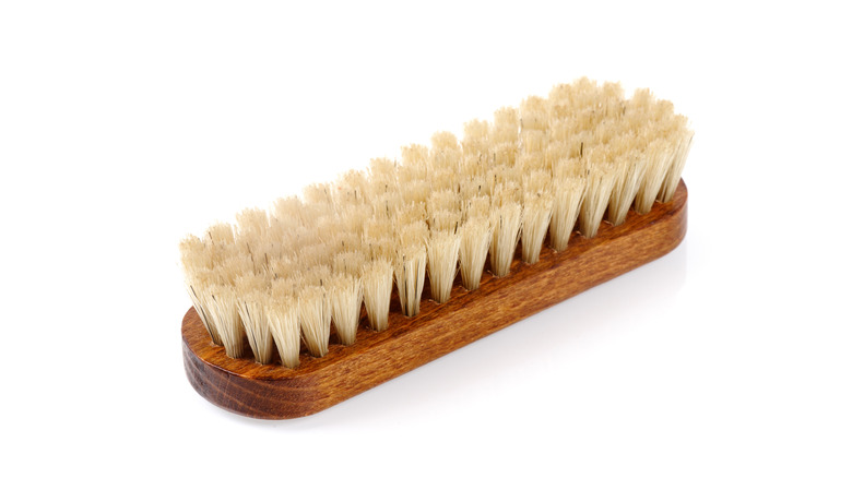 horsehair clothing brush