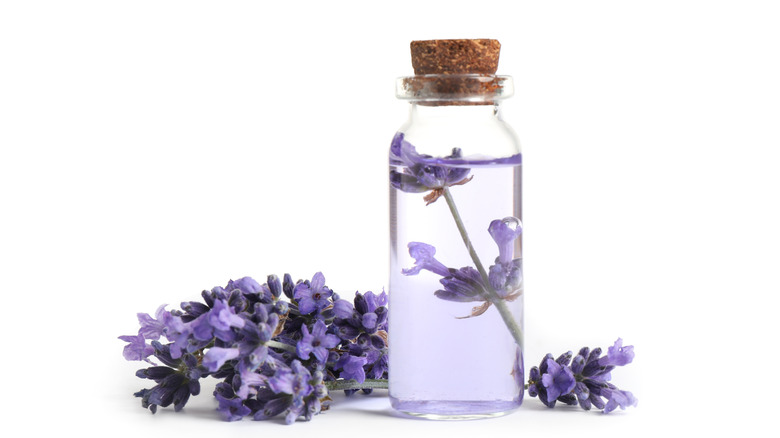 lavender essential oil bottle