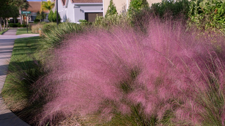 dried grass arrangement