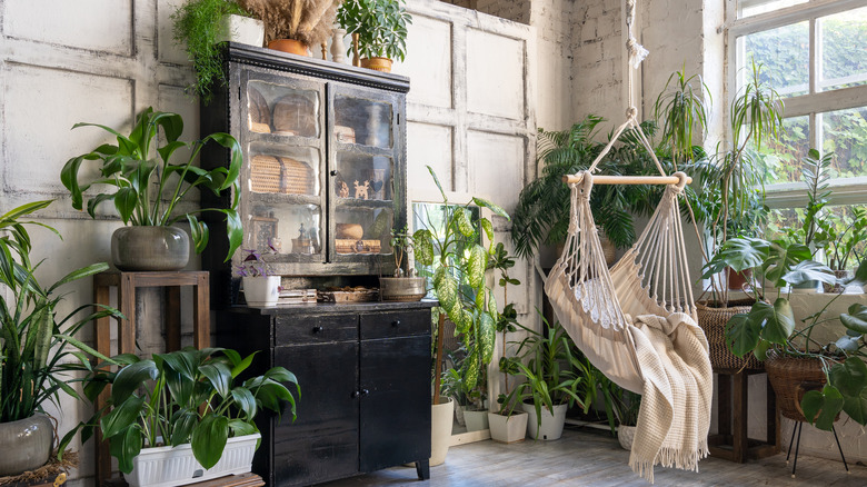 living room with houseplants