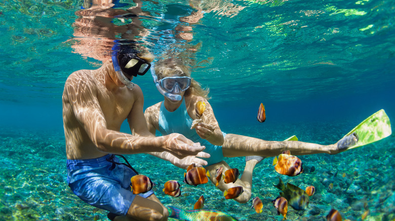 Snorkeling in the Bahamas