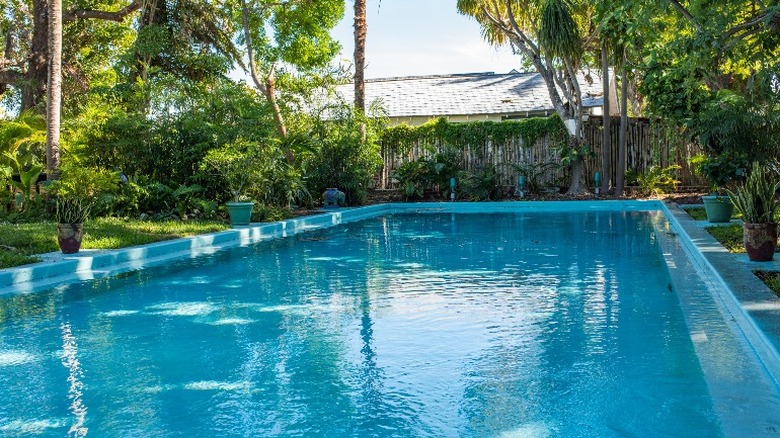 Ernest Hemingway's home pool